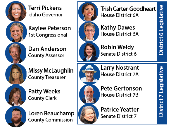 A display of Democratic candidates in the Nov 2026 midterm elections
